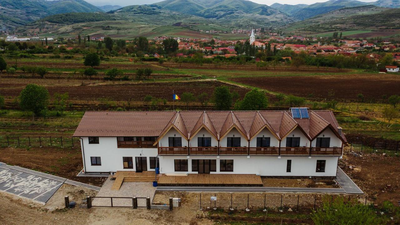Pensiunea Casa Negrea Ighiu Dış mekan fotoğraf