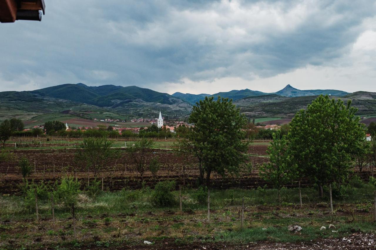 Pensiunea Casa Negrea Ighiu Dış mekan fotoğraf