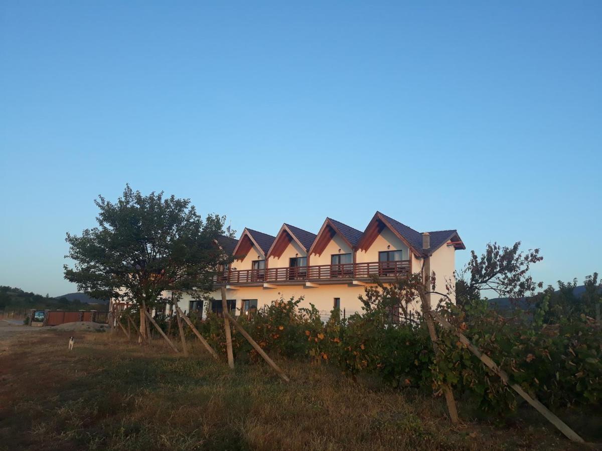 Pensiunea Casa Negrea Ighiu Dış mekan fotoğraf