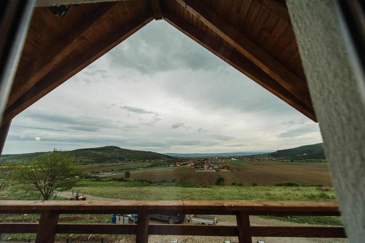 Pensiunea Casa Negrea Ighiu Dış mekan fotoğraf