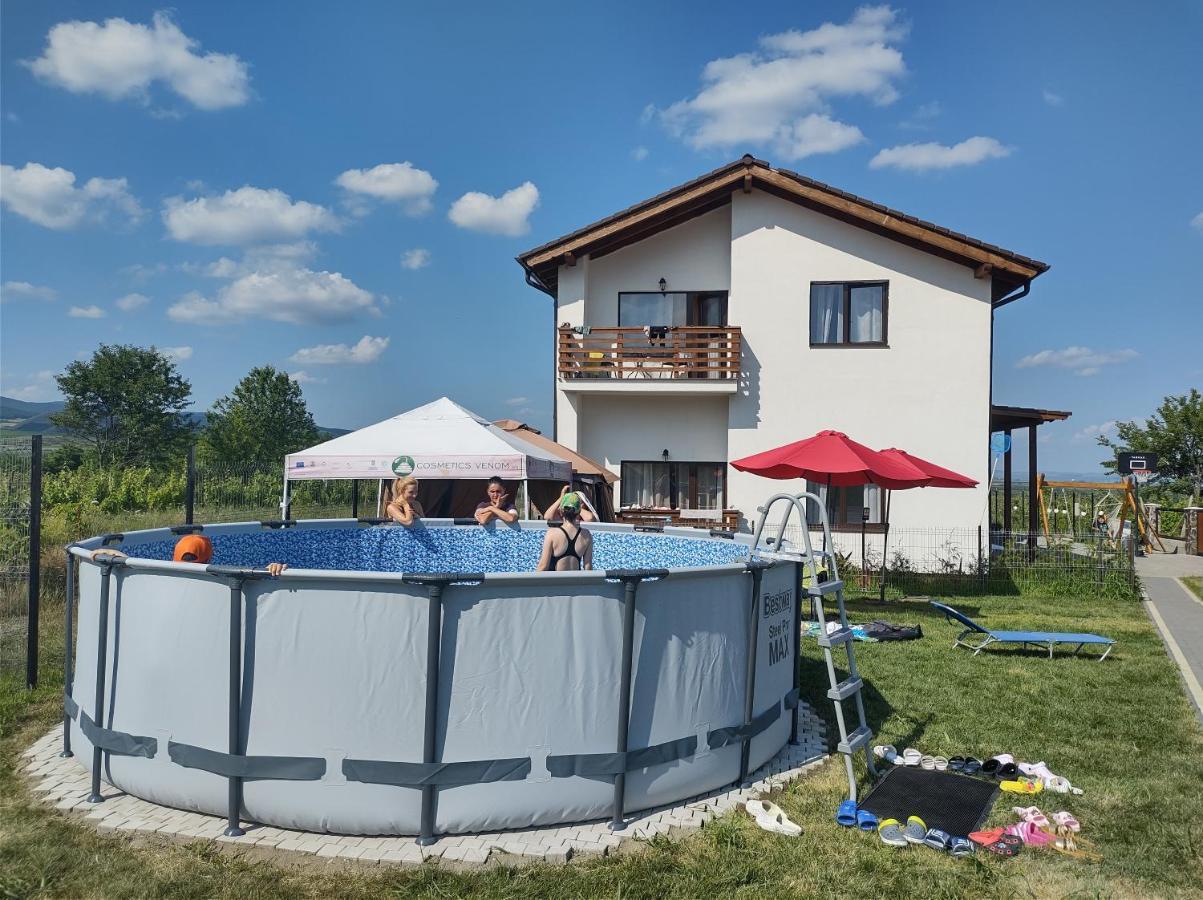 Pensiunea Casa Negrea Ighiu Dış mekan fotoğraf